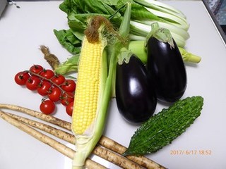 s-P1010491.jpg