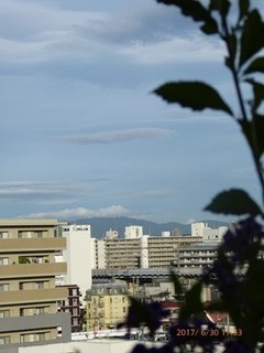 s-P1010521.jpg