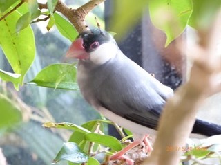 s-P1010524.jpg