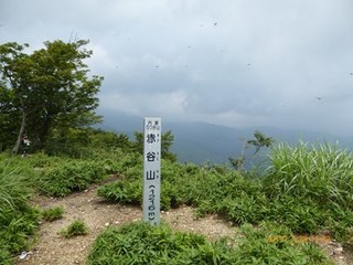 s-P1010553.jpg