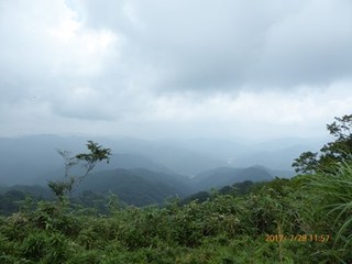 s-P1010561.jpg