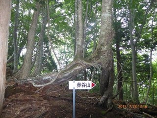 s-P1010572.jpg