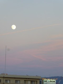 s-P1010628.jpg