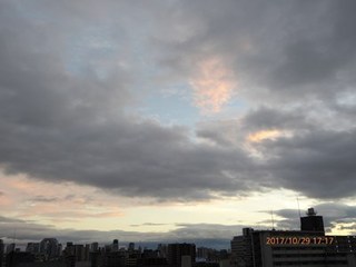 s-P1010660.jpg