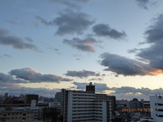 s-P1010665.jpg