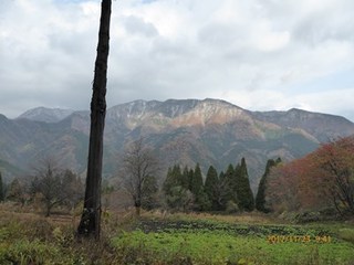 s-P1010670.jpg
