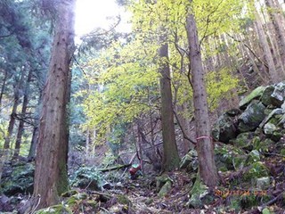 s-P1010707.jpg