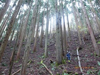 s-P1010713.jpg