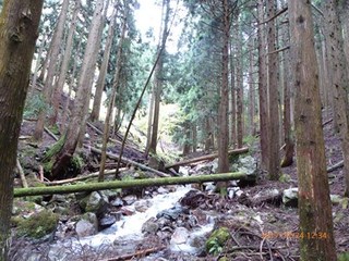 s-P1010714.jpg