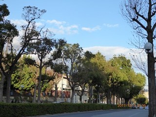 s-P1010730.jpg