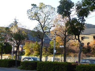 s-P1010731.jpg