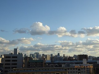 s-P1010733.jpg
