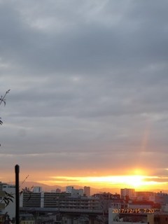 s-P1010774.jpg