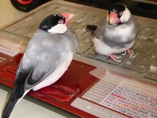 s-P1010776.jpg