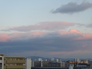 s-P1010800.jpg