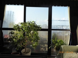 s-P1010802.jpg
