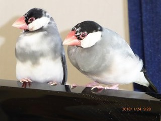s-P1010809.jpg
