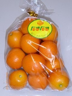 s-P1010812.jpg