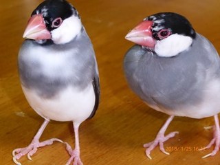 s-P1010819.jpg