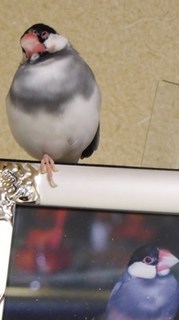 s-P1010845.jpg