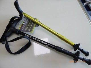 s-P1010854.jpg