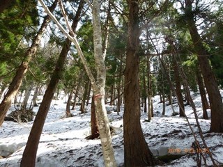s-P1010887.jpg
