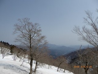 s-P1010888.jpg
