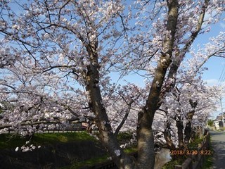 s-P1010895.jpg