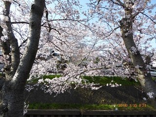 s-P1010899.jpg