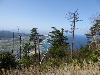 s-P1010904.jpg