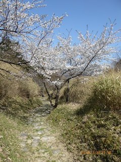 s-P1010913.jpg