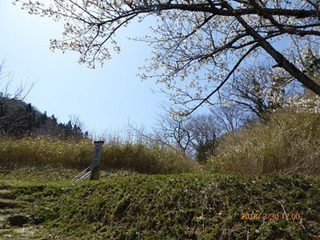 s-P1010916.jpg