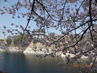 s-P1010926.jpg