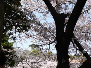 s-P1010927.jpg