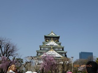 s-P1010930.jpg