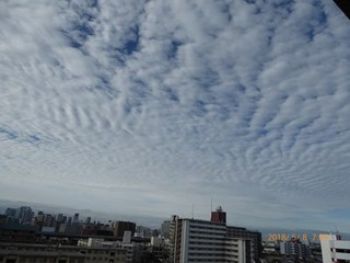s-P1010949.jpg