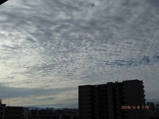 s-P1010951.jpg
