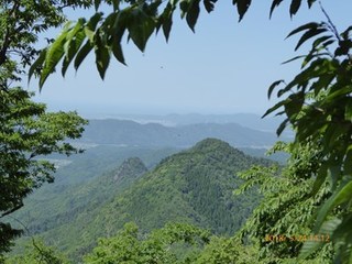 s-P1010988.jpg