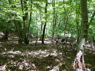 s-P1010991.jpg