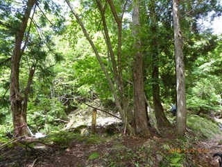 s-P1020014.jpg