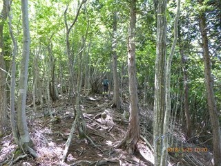 s-P1020015.jpg
