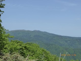 s-P1020020.jpg