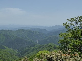 s-P1020022.jpg