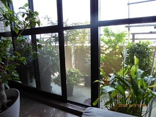 s-P1020041.jpg