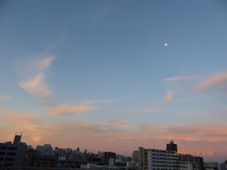 s-P1020083.jpg