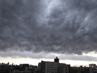 s-P1020157.jpg