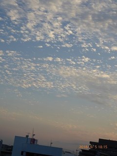 s-P1020165.jpg