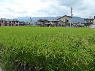 s-P1020173.jpg