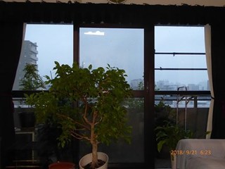 s-P1020177.jpg