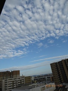 s-P1020181.jpg